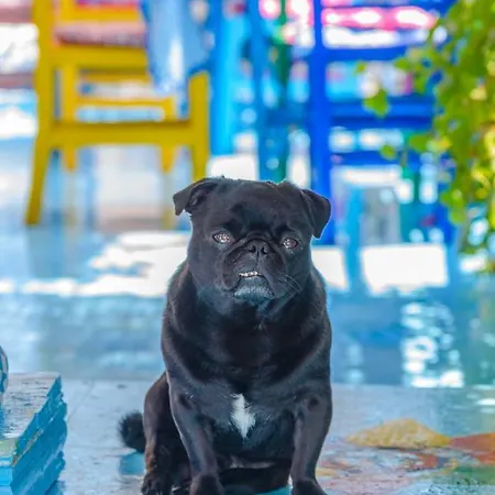 Tas Butik Otel Hotel *